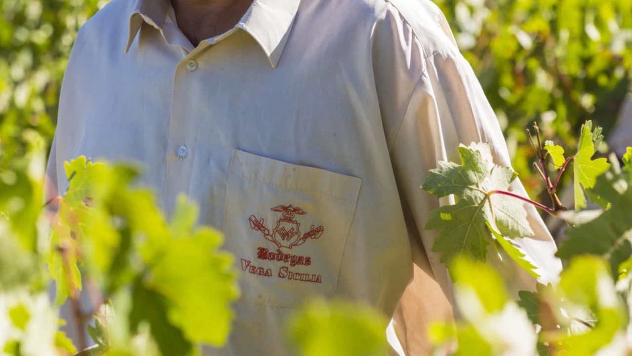 Вина Vega Sicilia долго выдерживают в бочках, иногда больше 10 лет. Фото: temposvegasicilia.com