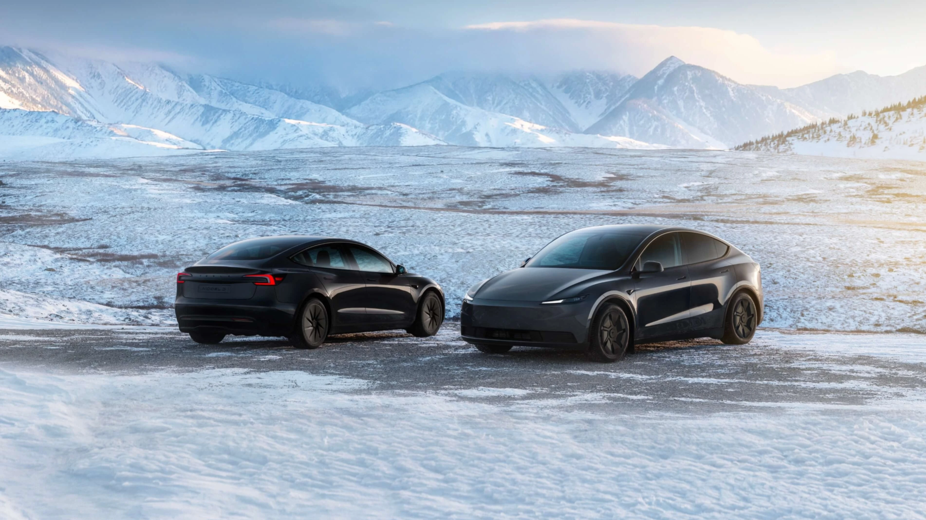 Tesla начала продажи в Европе более дешевой Model 3 Standard / Фото: Tesla