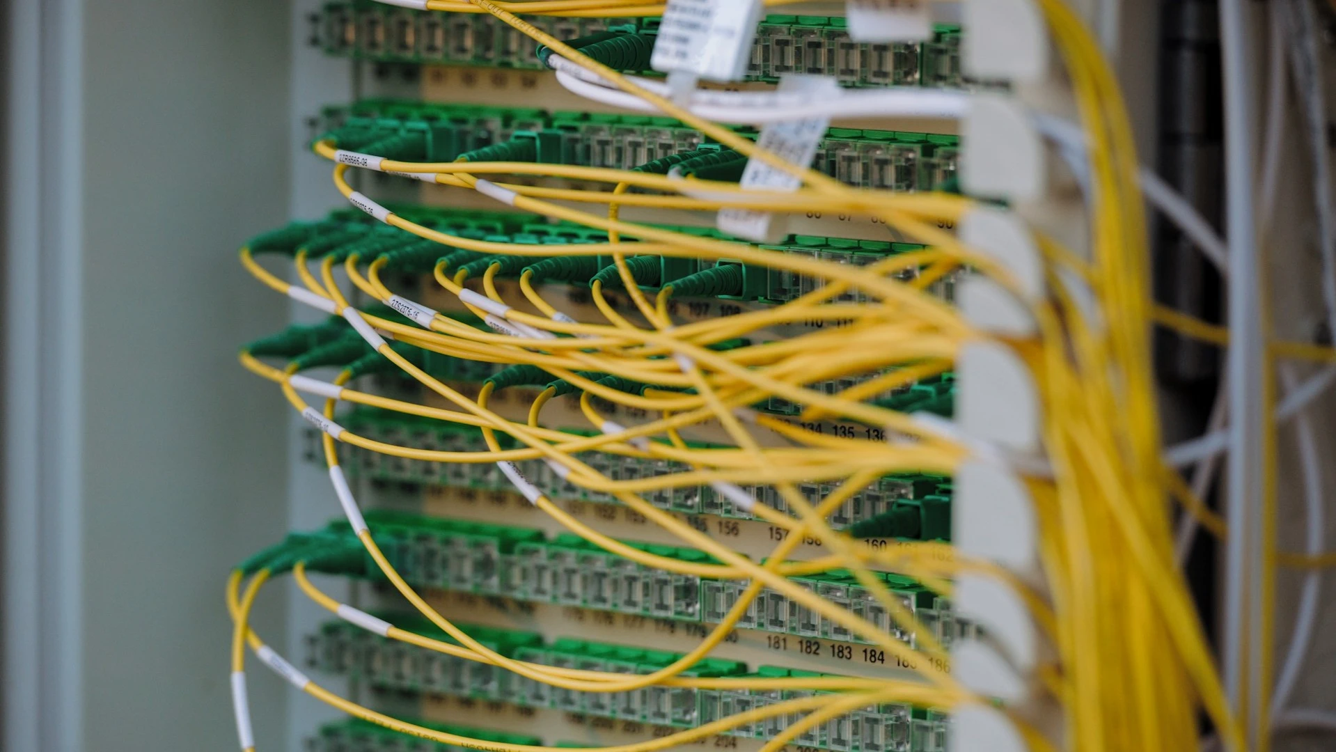 SoftBank может купить инвестора в цифровую инфраструктуру DigitalBridge / Фото: Unsplash.com/Albert Stoynov