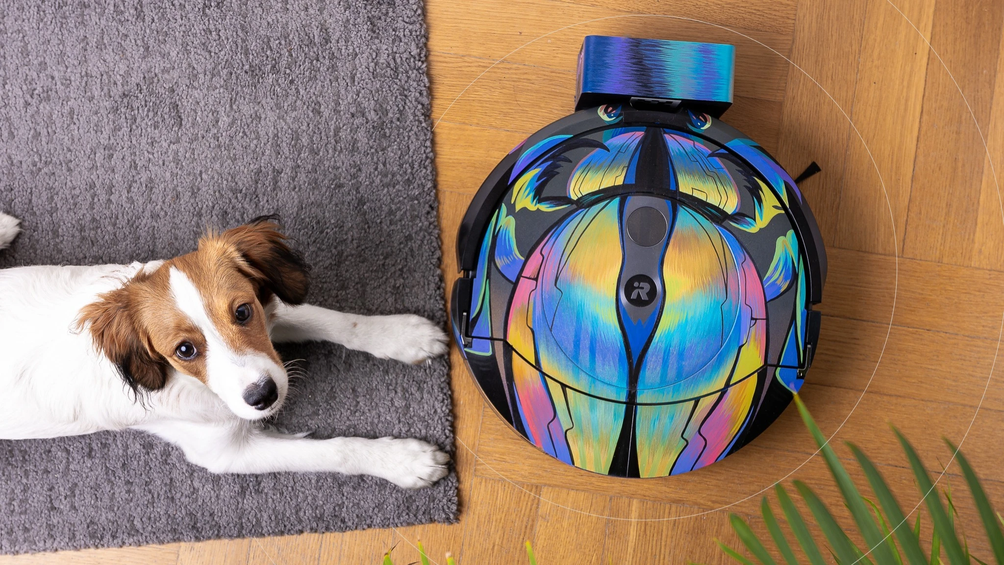 iRobot объявил о банкротстве / Фото: Facebook / Irobotpl