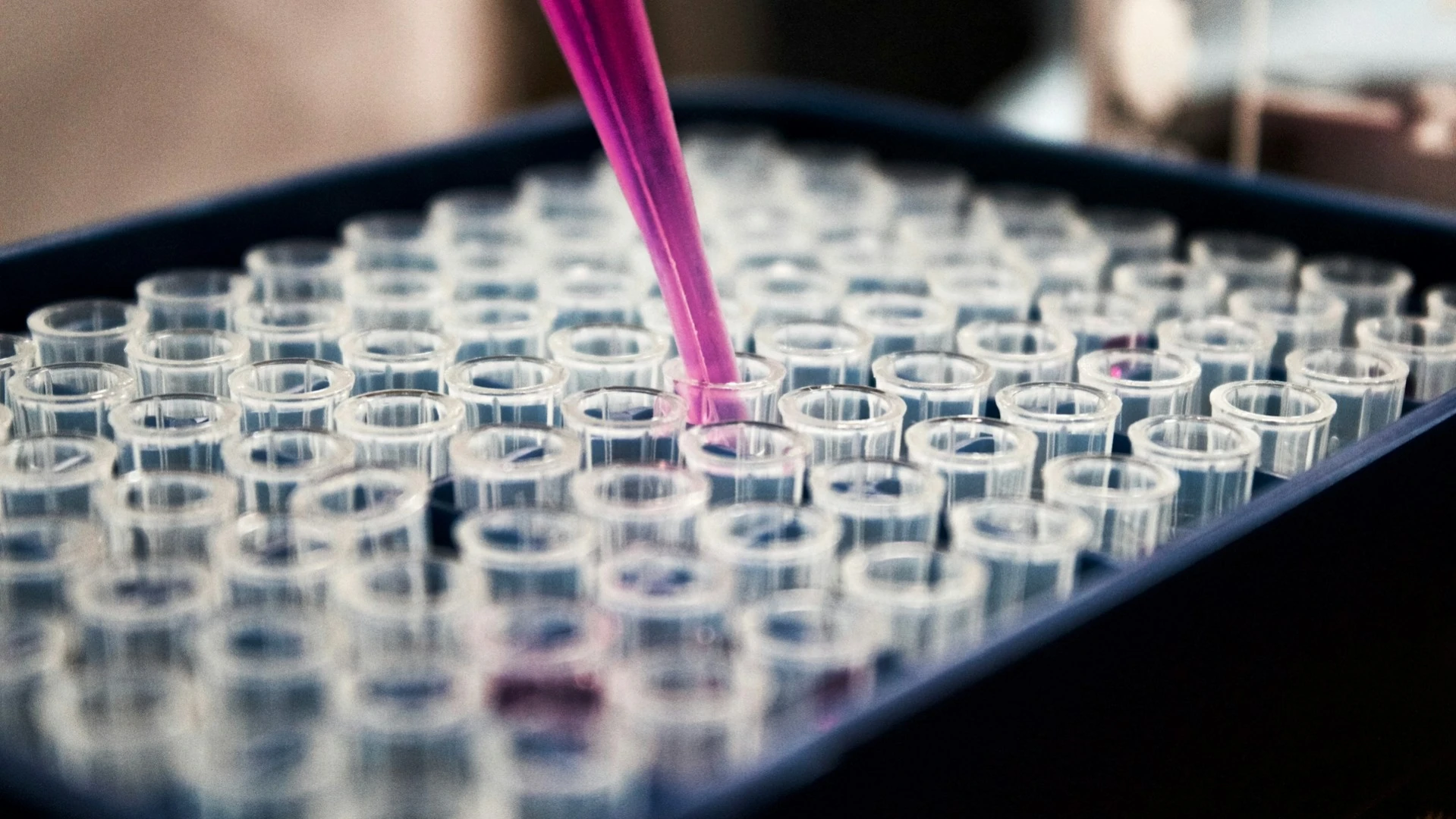 Freedom named a small-cap stock that could soar 22% in 2 months