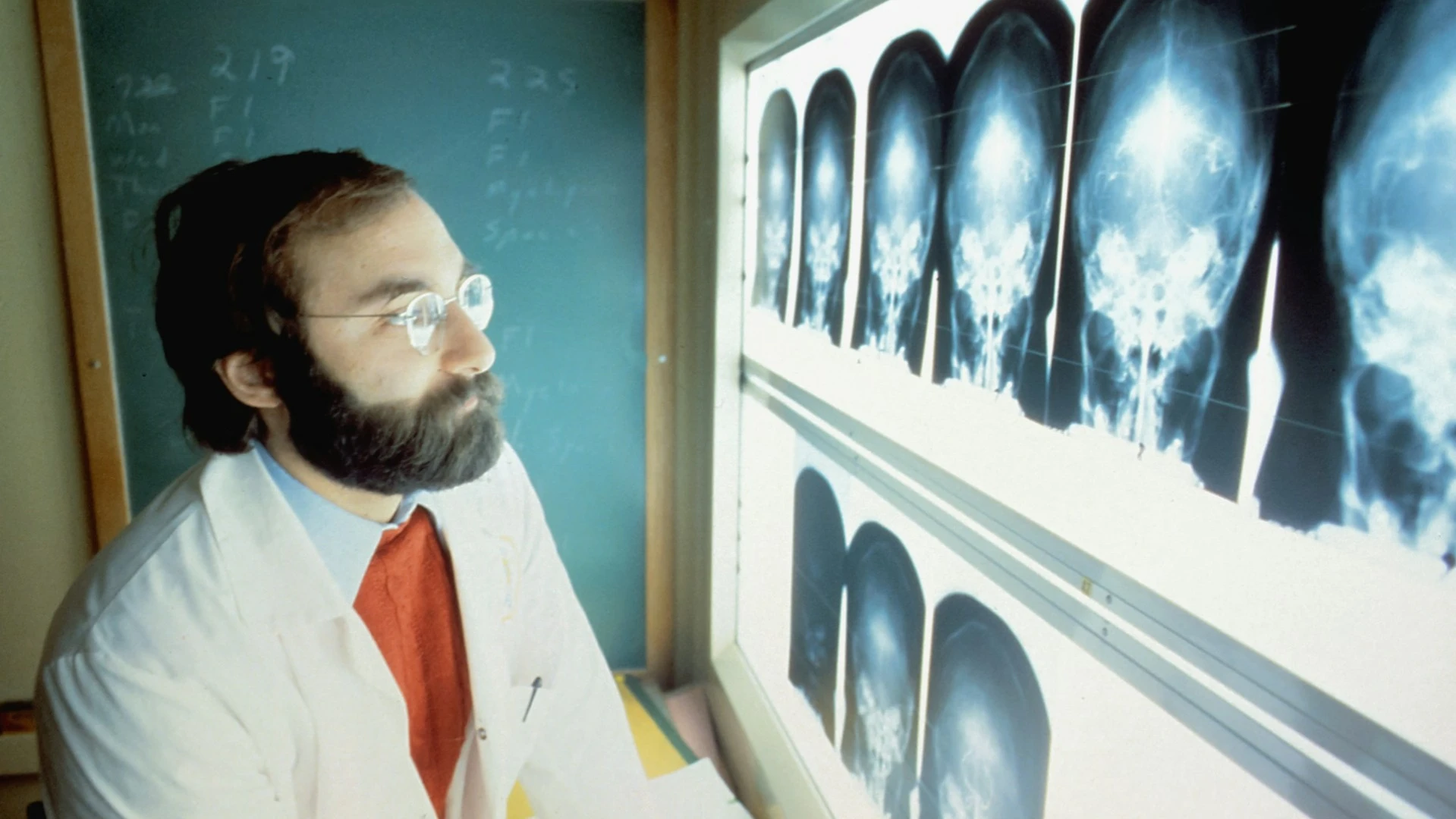 Noble советует покупать акции Cardiff Oncology / Фото: Unsplash/National Cancer Institute