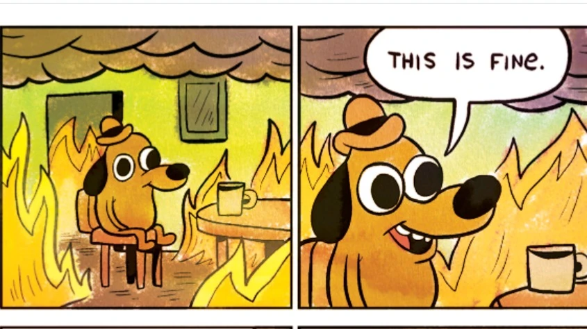 Гифки лучше, чем тексты, передают настроения трейдеров и могут дать подсказку о движении акций, считают исследователи / Фото: X / KC. Green