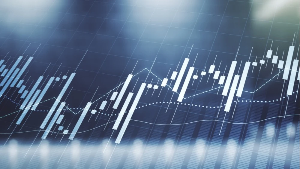 Photo: Pixels Hunter / Shutterstock