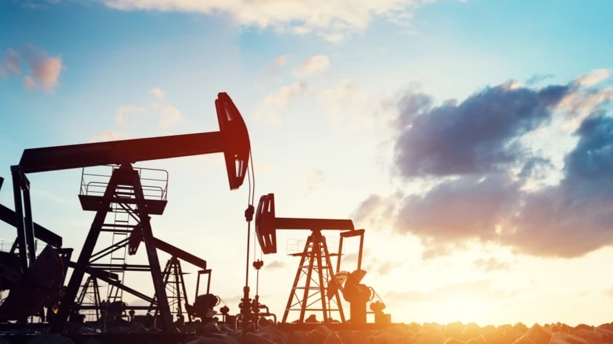 Photo: PHOTOCREO Michal Bednarek / Shutterstock