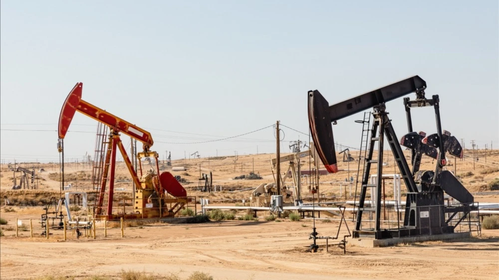 Photo: lusia83 / Shutterstock