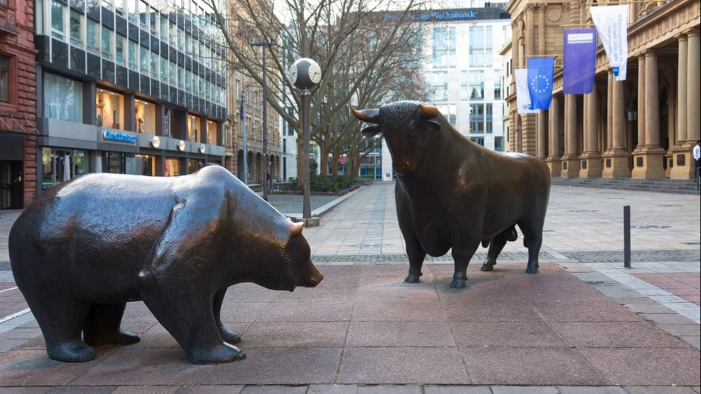 While professional investors were selling off software developer stocks, retail investors were buying on the downturn / Photo: Shutterstock.com/Shchipkova Elena