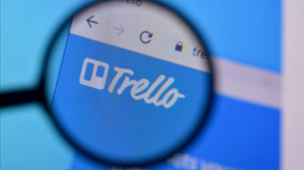 Фото: Mehaniq / Shutterstock