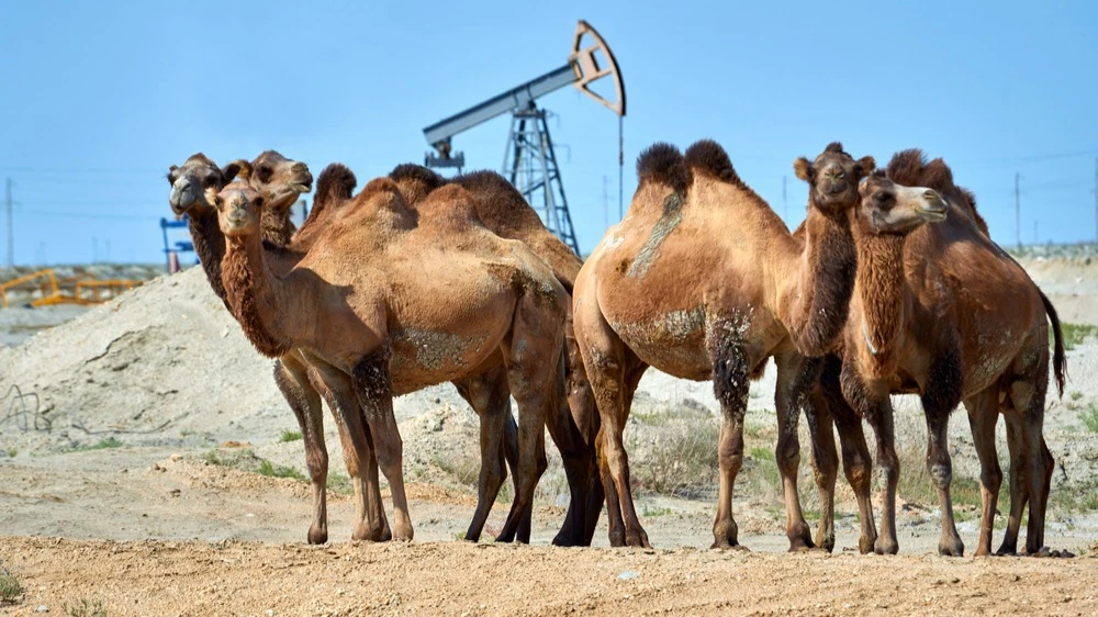 Военный конфликт США с Ираном может начаться после мартовского заседания МАГАТЭ и привести к резкому росту цен на нефть / Фото: Yerbolat Shadrakhov/Shutterstock.com