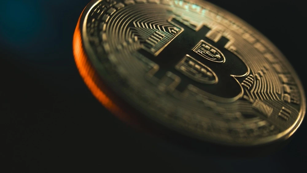 Фото: Frame Stock Footage / Shutterstock