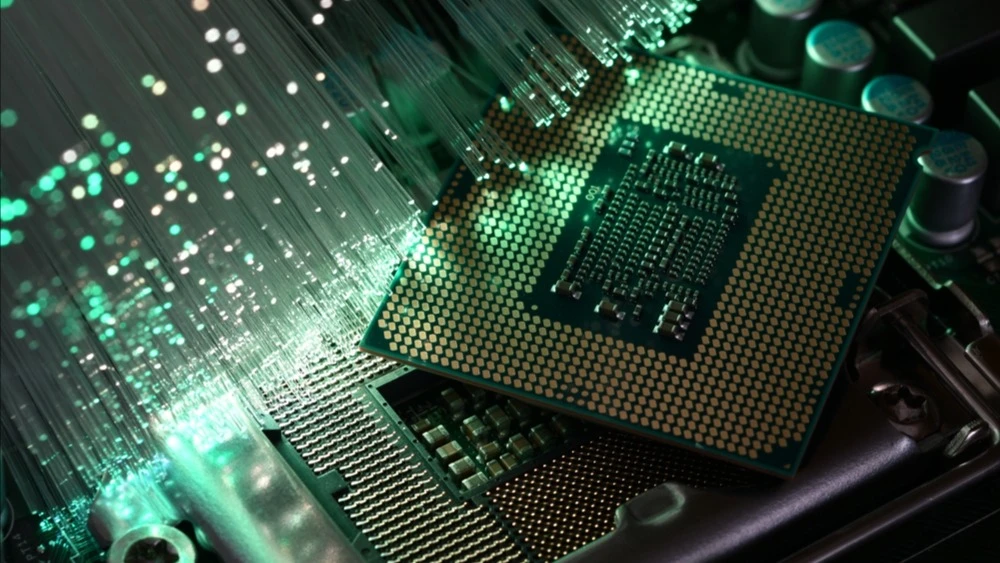 Фото: Mau47 / Shutterstock