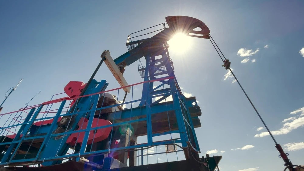 Фото: ibragimova / Shutterstock