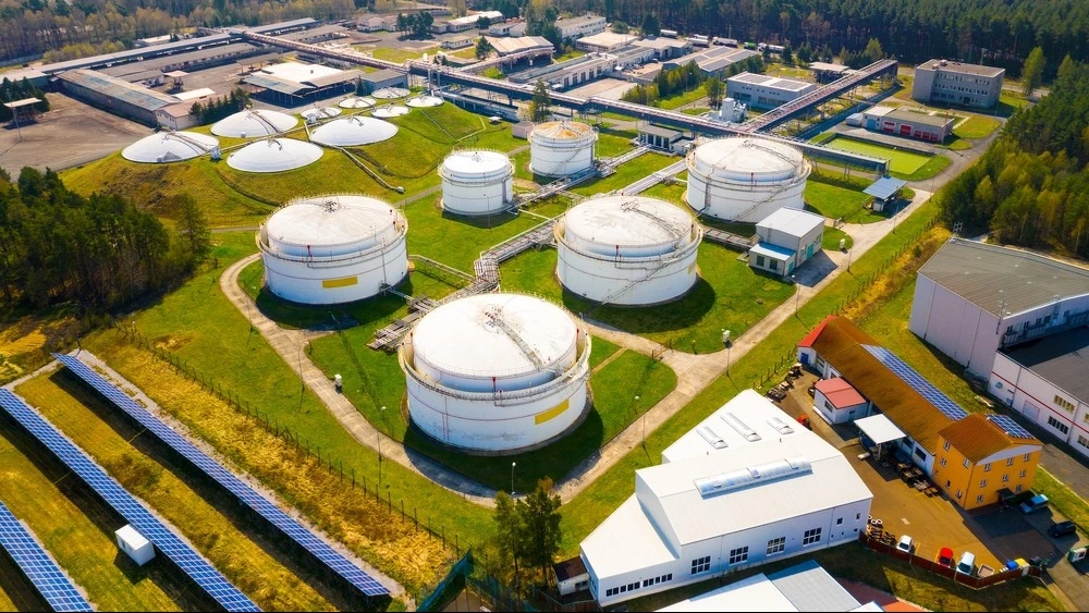 Фото: Kletr / Shutterstock