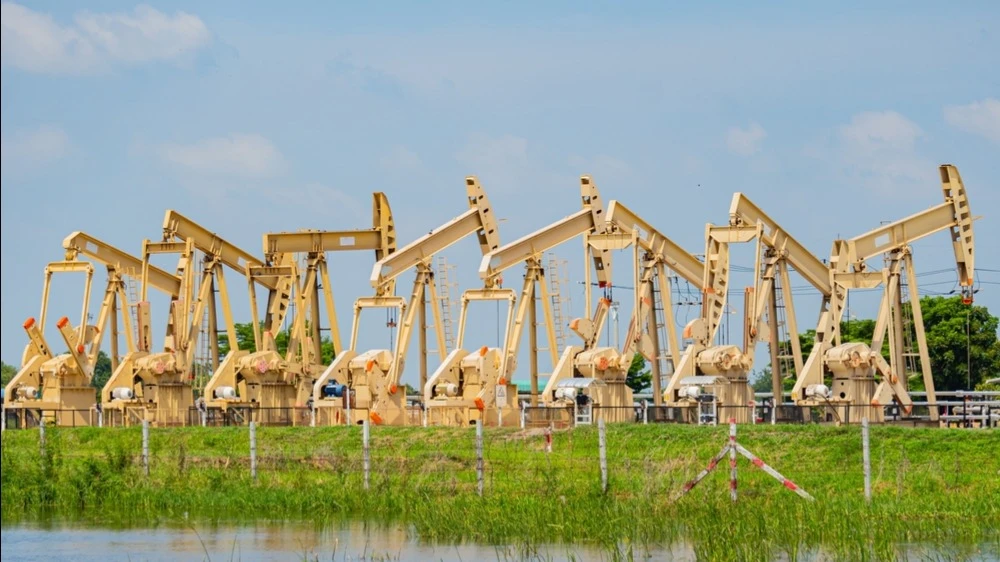 Фото: apiguide / Shutterstock