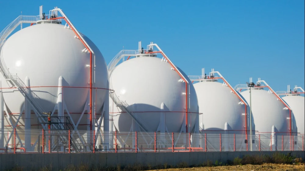 Фото: Oleksii Bilyk / Shutterstock