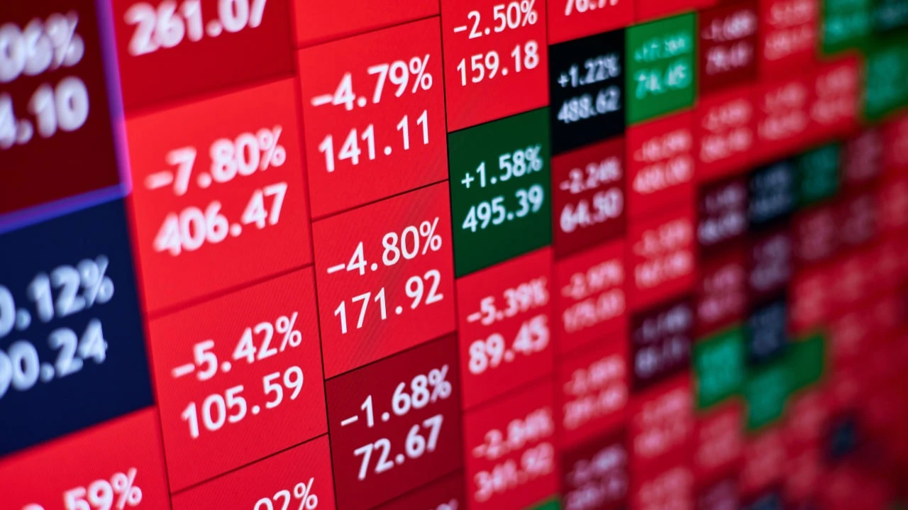 Фото: marketlan / Shutterstock.com