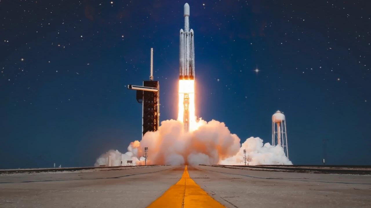 Фото: berni0004 / Shutterstock.com