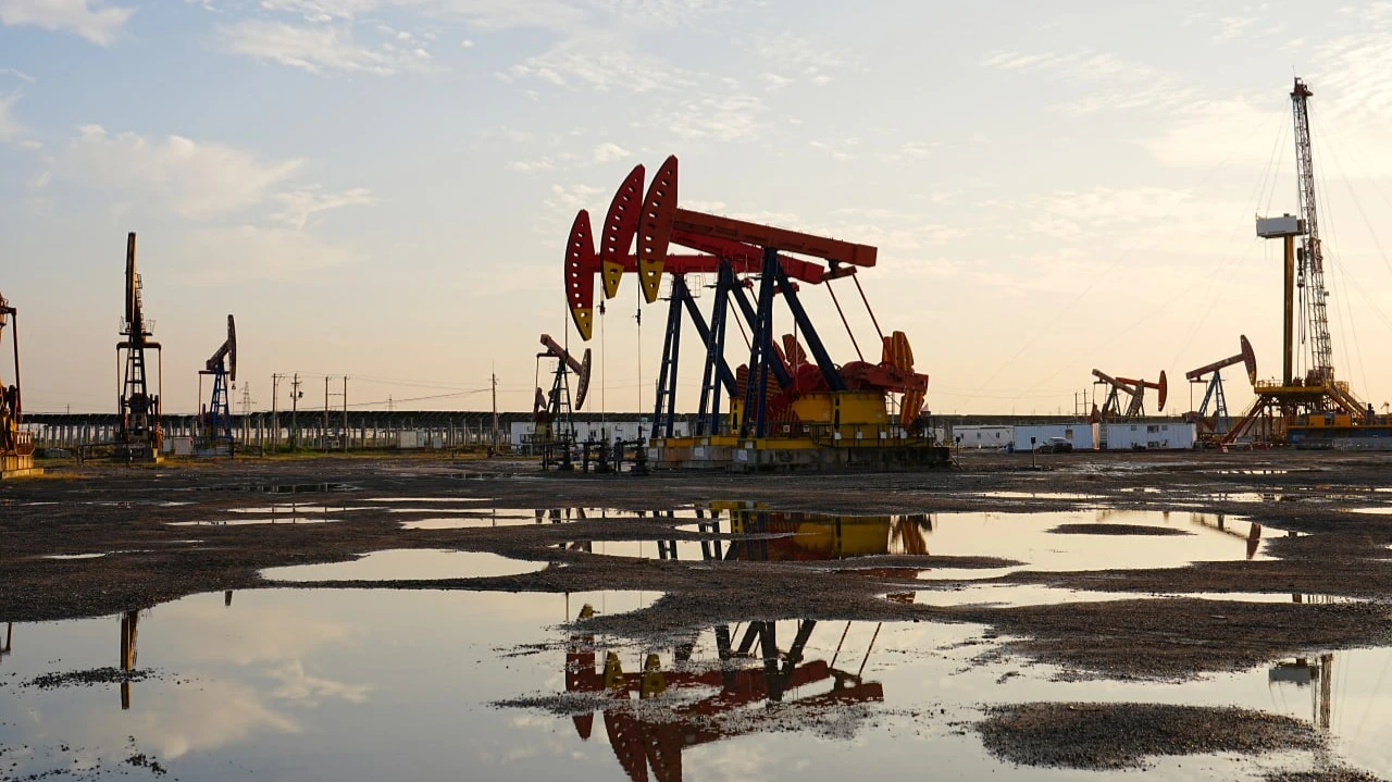 Фото: QiuJu Song / Shutterstock.com