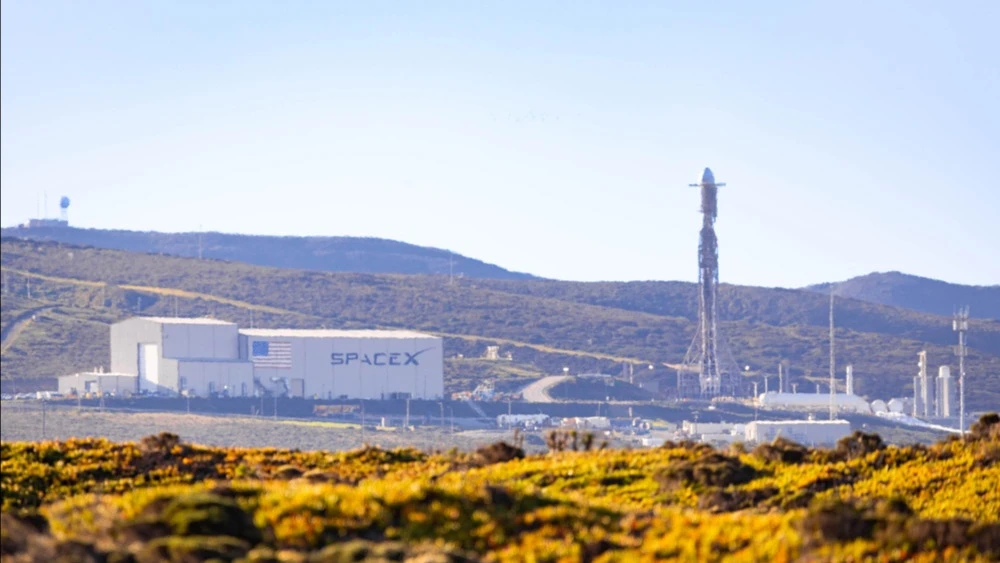 / Фото: Photo Spirit / Shutterstock.com