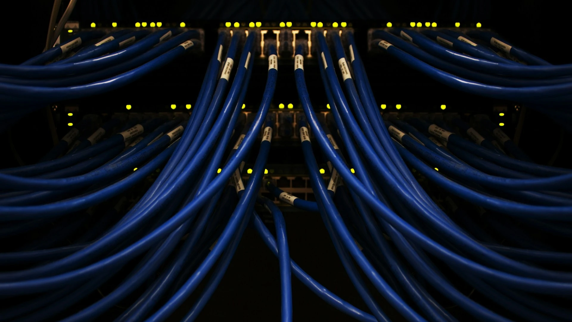 Теперь среди клиентов CoreWeave — сразу четыре крупнейших разработчика ИИ-моделей: Anthropic, OpenAI, Google и Meta / Фото: Scott Rodgerson / unsplash