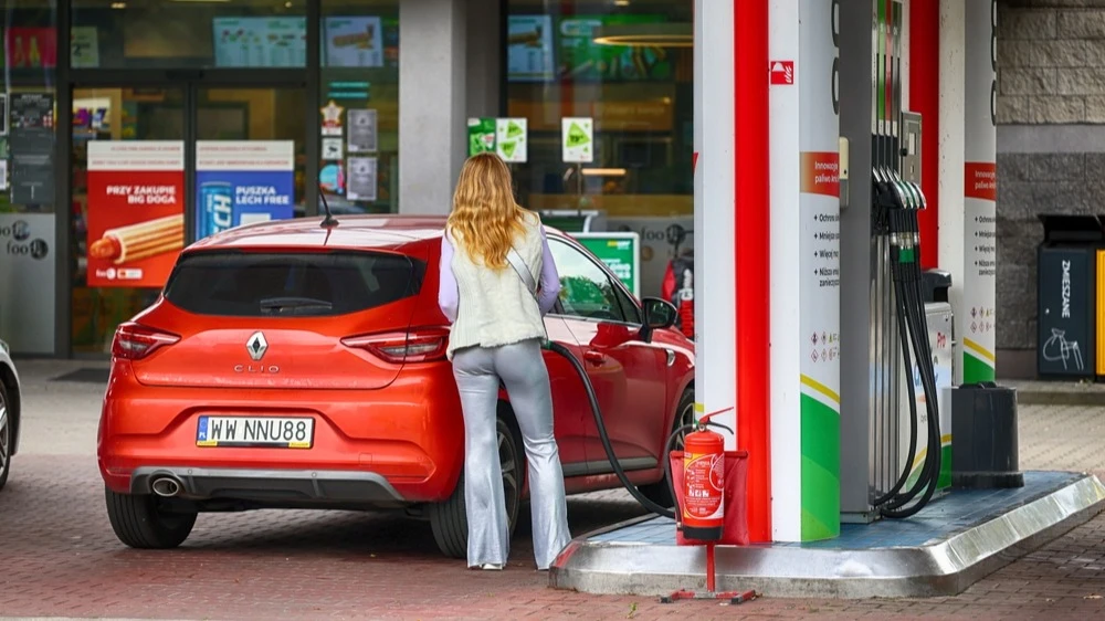 Фото: FotoDax / Shutterstock