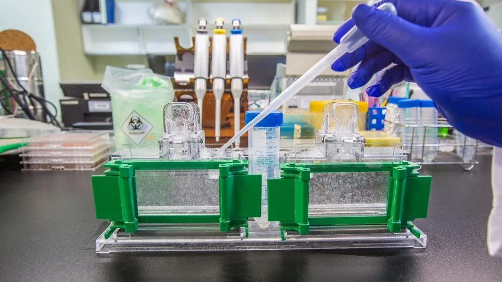 Biotech Alamar Biosciences is listed on the Nasdaq under the ticker ALMR / Photo: Dr. Ying / Shutterstock