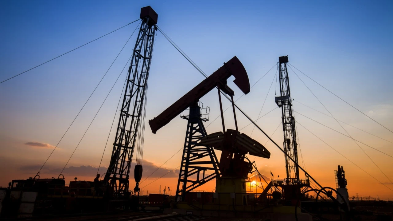 Фото: zhengzaishuru / Shutterstock.com