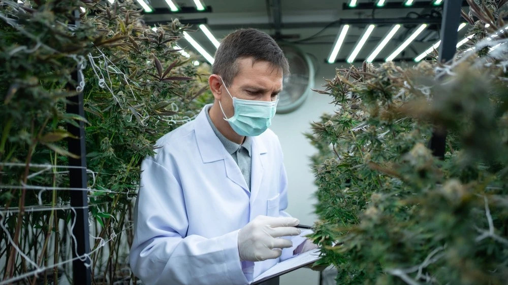 Photo: NewJadsada / Shutterstock