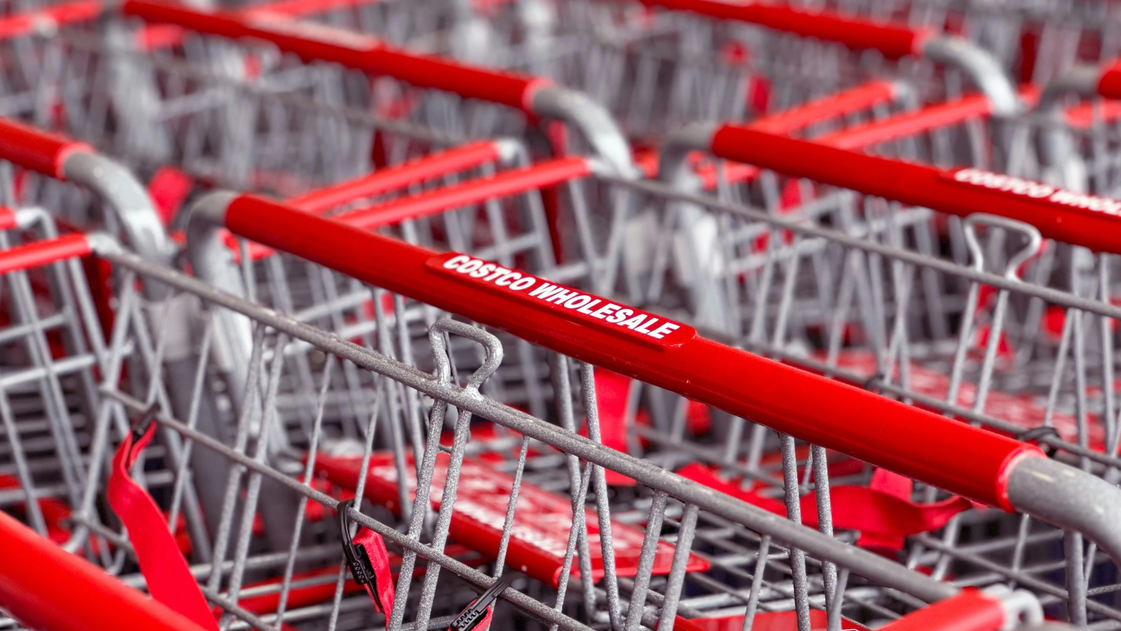 Retailer Costco will release financial results on May 28 / Photo: Unsplash / gibblesmash asdf