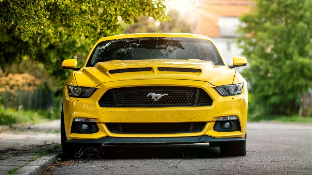 Shares of the maker of the iconic Mustang havent risen as much as they did in May since 2009 / Photo: Jan Zabrodsky / Shutterstock.com