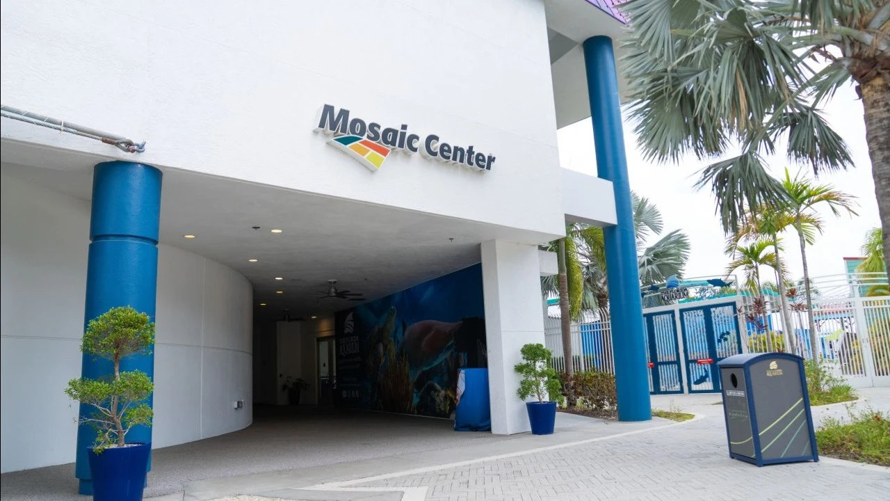 Freedom recommended buying shares of fertilizer manufacturer Mosaic / Photo: LinkedIn / Mosaic