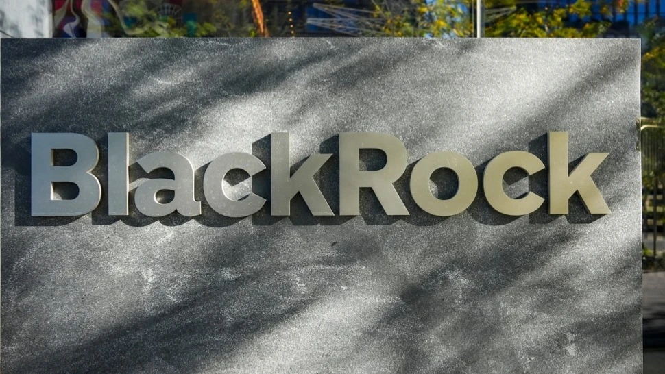 BlackRock отдает предпочтение акциям компаний, испытывающих дефицит в сфере ИИ / Фото: rblfmr / Shutterstock