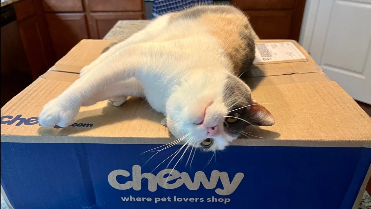 Since the beginning of 2026, Chewys stock has lost nearly 38% of its value / Photo: Facebook/Chewy