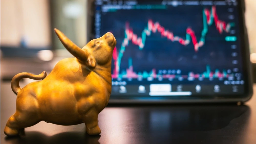 Goldman Sachs Offered Ideas for Protecting a Portfolio / Photo: sommart sombutwanitkul/Shutterstock.com