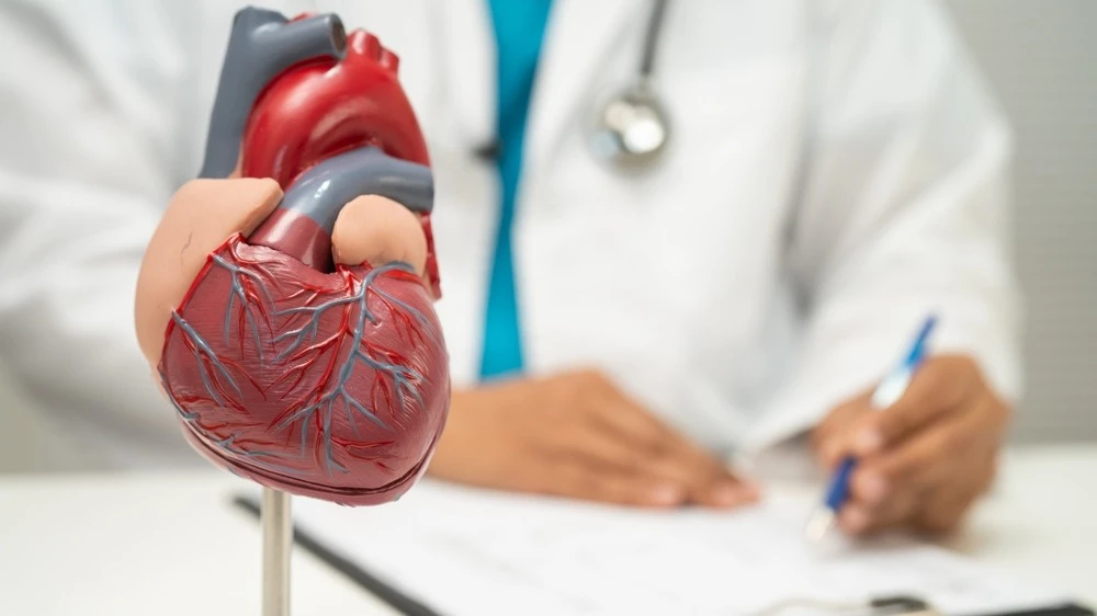 Pharmaceutical giant Eli Lilly is a shareholder of Scribe / Photo: sasirin pamai / Shutterstock