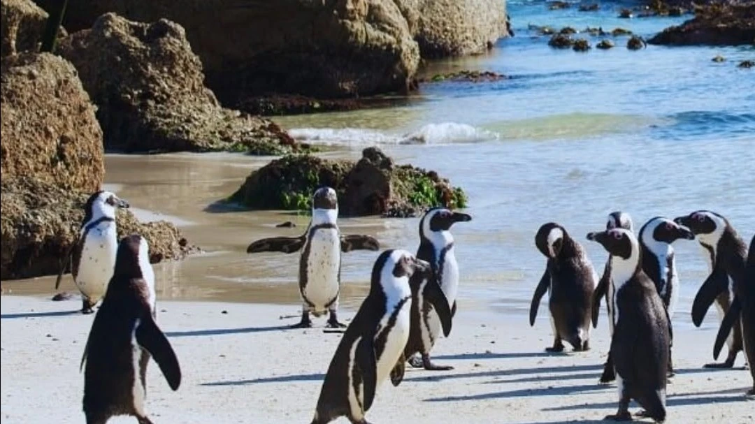 BTIG does not recommend buying TripAdvisor stock / Photo: Facebook / TripAdvisor