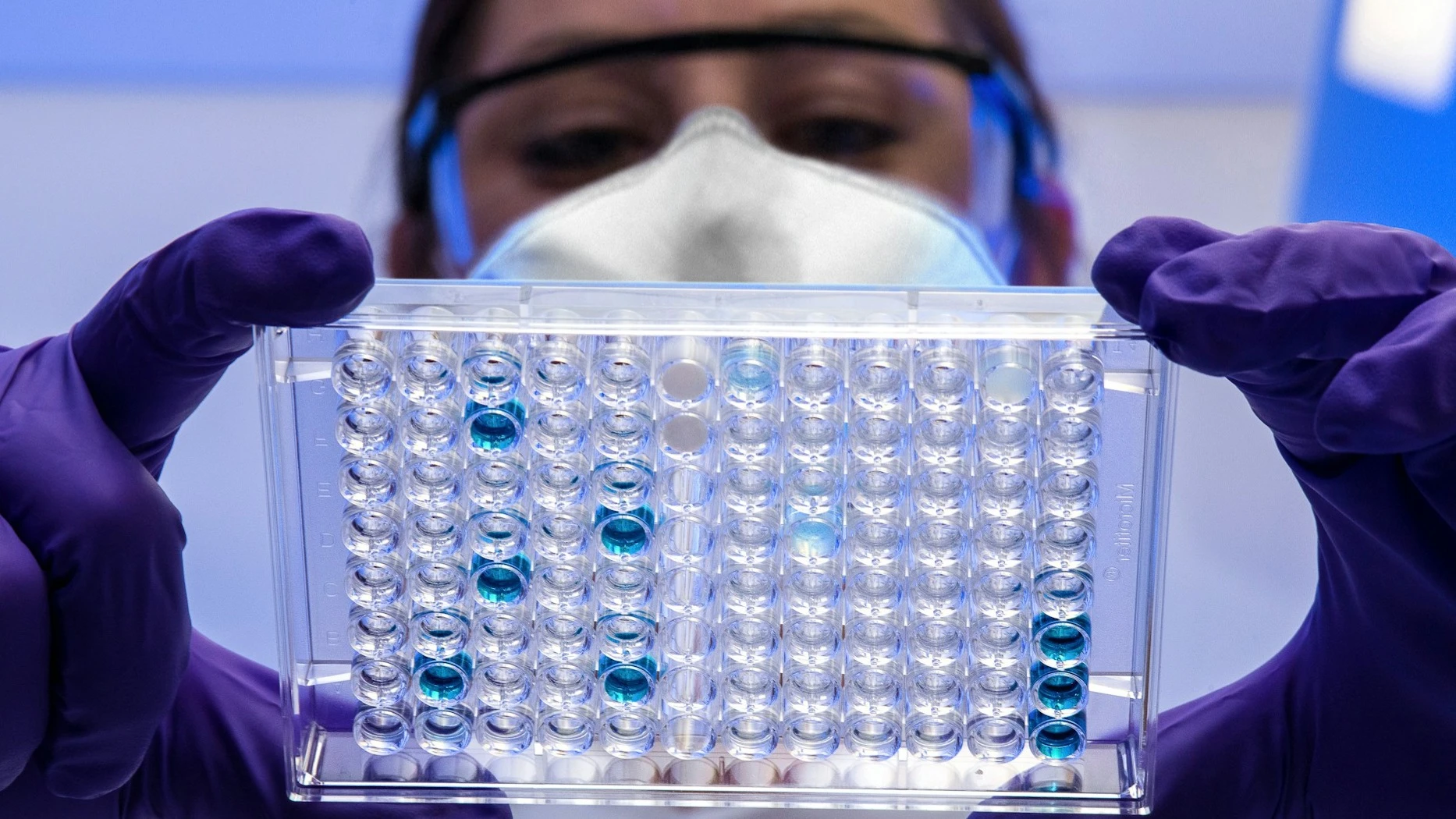 Shares of small-cap biotech company Forte soared 40% / Photo: Unsplash / CDC