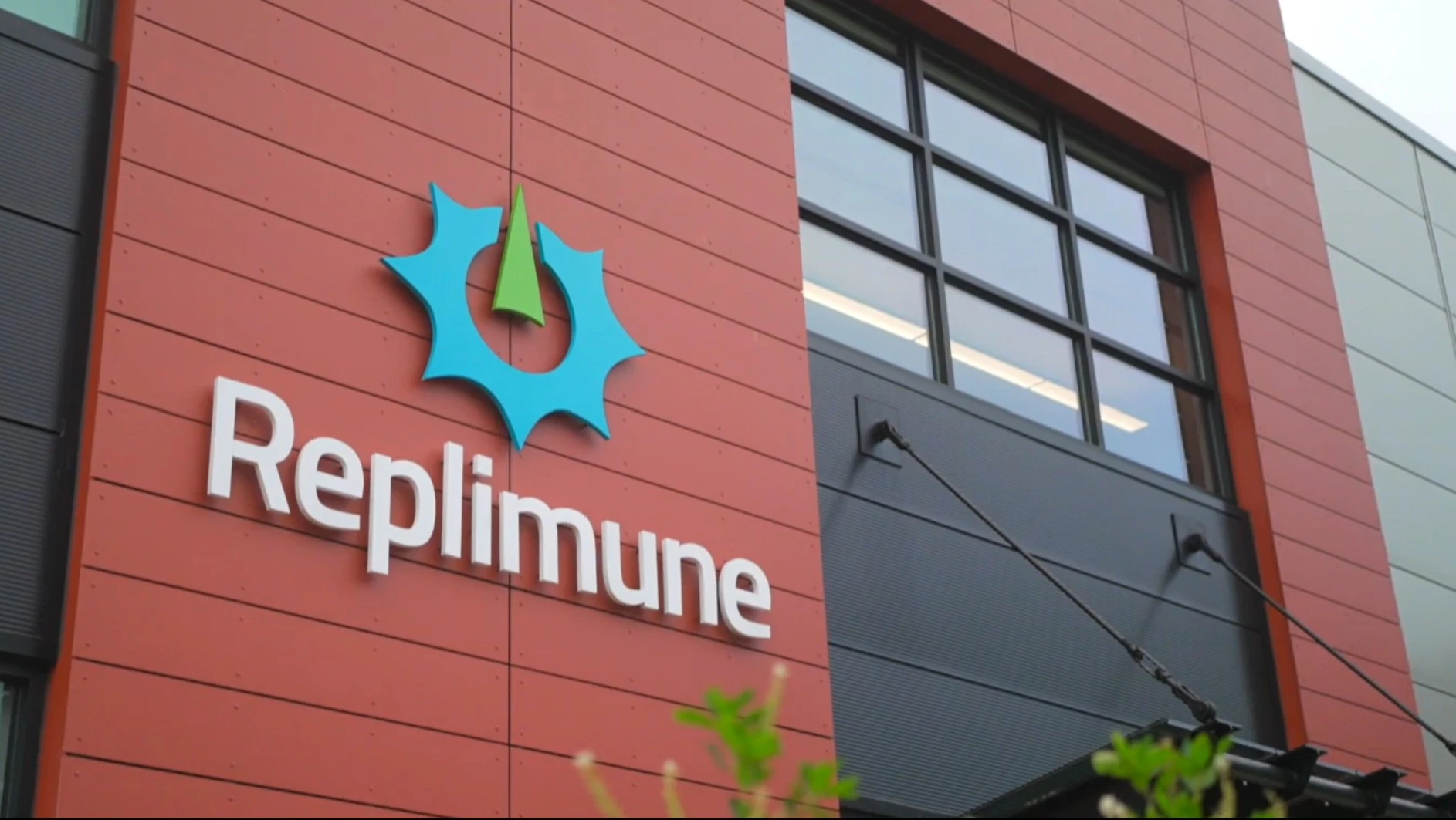Replimunes stock soared on news that an FDA committee had deemed its drug effective / Photo: Replimune