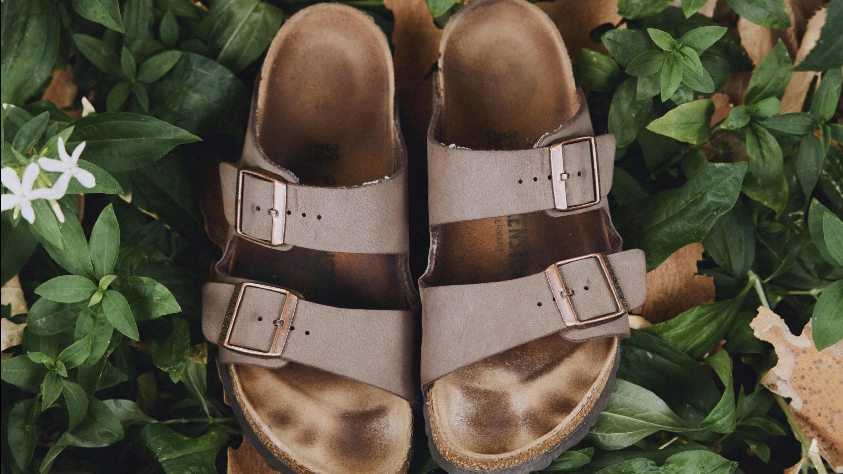 Broker Williams Trading has cast doubt on Birkenstocks prospects / Photo: Facebook / Birkenstock