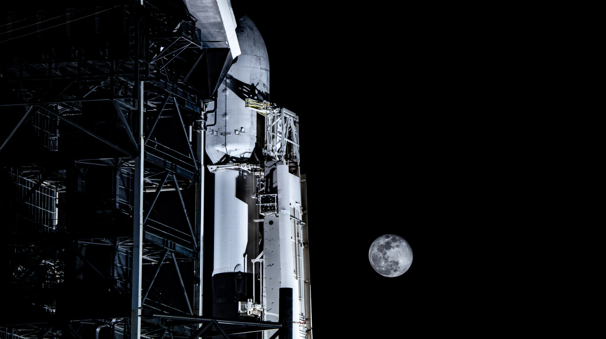 SpaceX shares rose after insider shares were unlocked / Photo: X / SpaceX