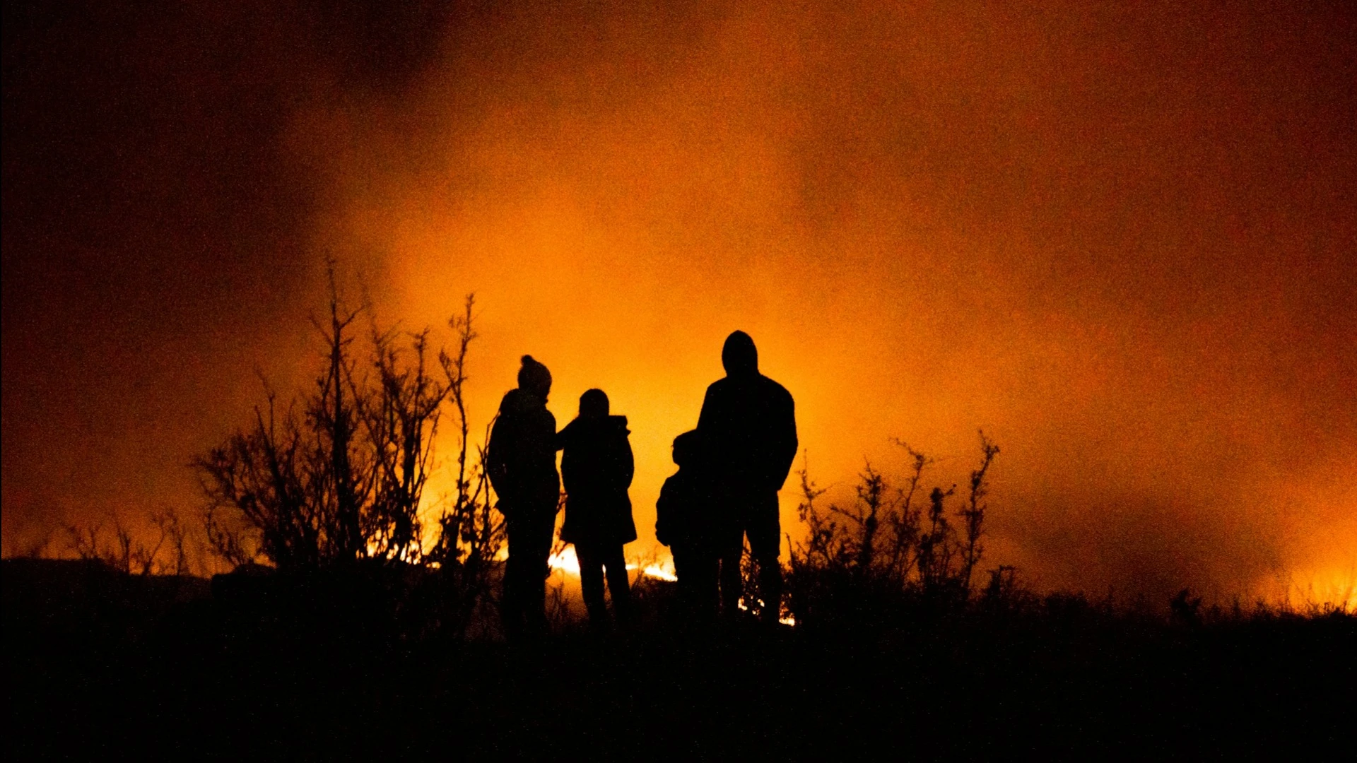 According to Fitch’s estimates, if insured fire losses significantly exceed €2 billion, this could begin to affect insurers’ profitability / Photo: Caleb Cook / Unsplash
