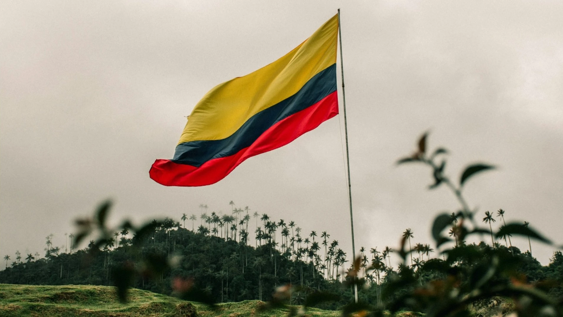 The earthquake struck near Colombias Pacific coast / Photo: Unsplash/David Restrepo