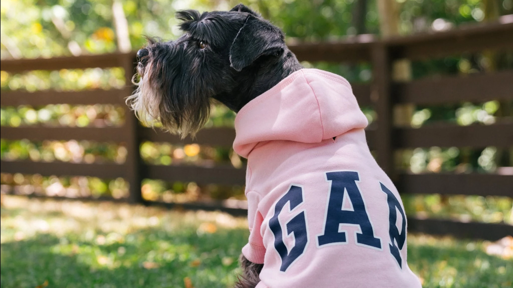 Two Wall Street analysts have expressed doubts about the outlook for clothing retailer GAP / Photo: Facebook / GAP