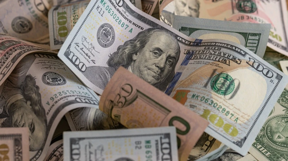 Citigroup analysts have lowered their three-month forecast for the U.S. Dollar Index / Photo: Ruslan Lytvyn/Shutterstock