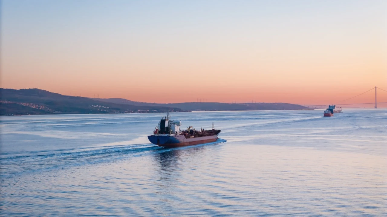 Photo: Leonid Sorokin / Shutterstock.com