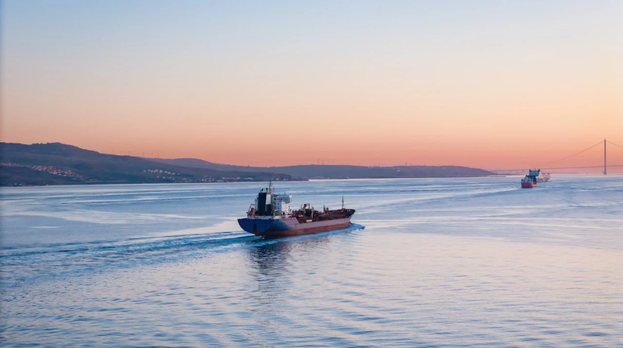 Photo: Leonid Sorokin / Shutterstock.com