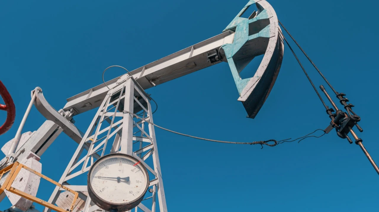 Photo: Evgenii Bakhchev / Shutterstock.com