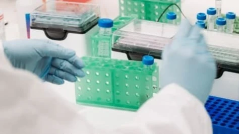 Акции Capricor Therapeutics подскочили на фоне обновленных данных исследований ее экспериментального препарата для терапии миодистрофии Дюшенна / Фото: capricor.com