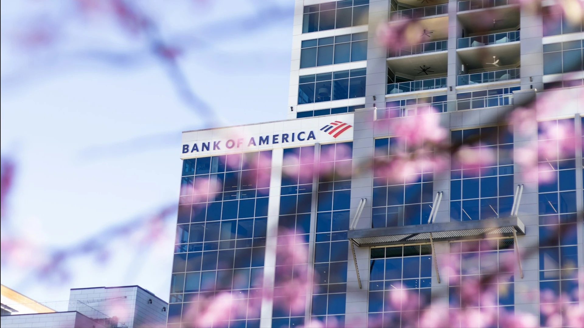 Bank of America 14 октября опубликует отчетность за третий квартал / Фото: Unsplash/Miles Smith