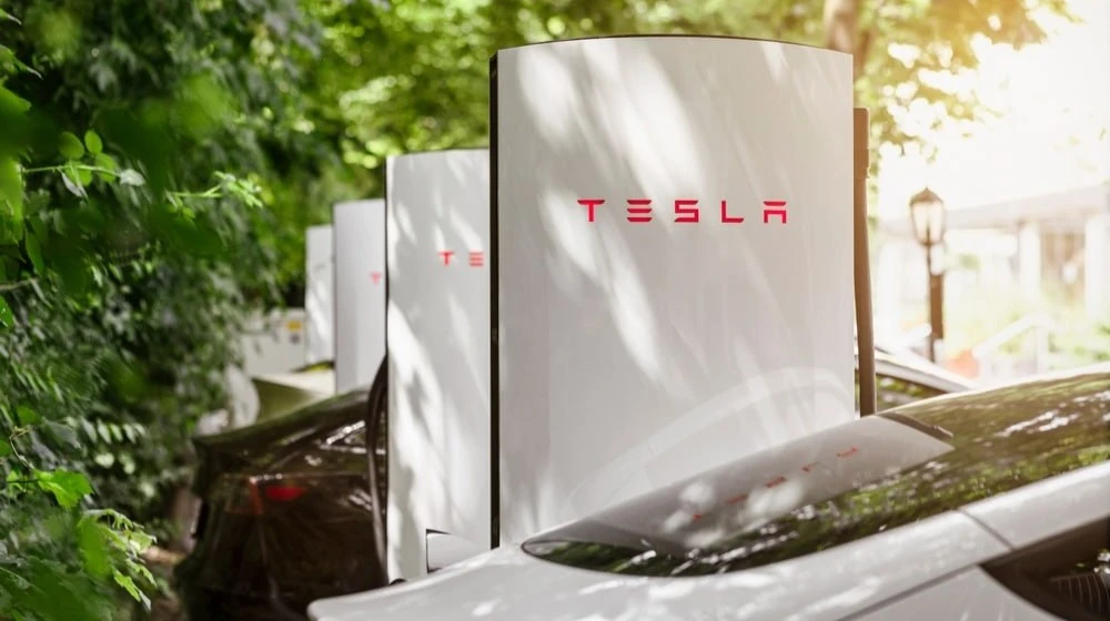 Teslas net income attributable to common shareholders fell 29% / Photo: Mariana Serdynska / Shutterstock.com